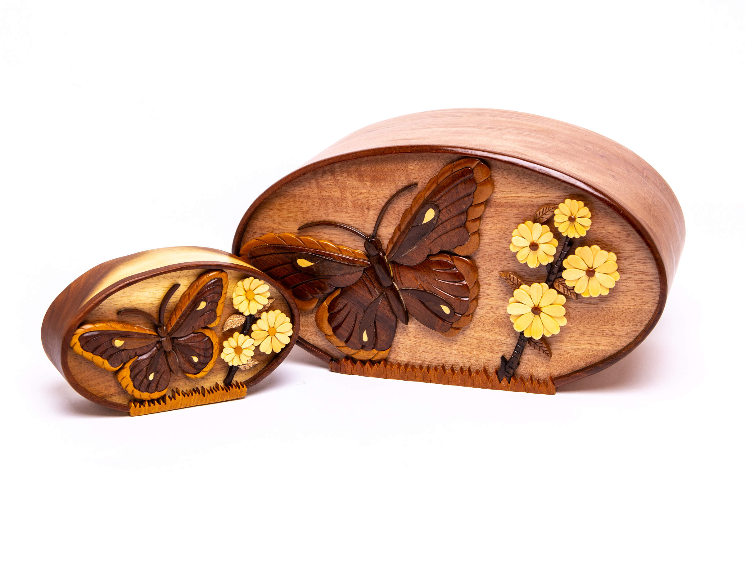 Butterfly w/ Daisy